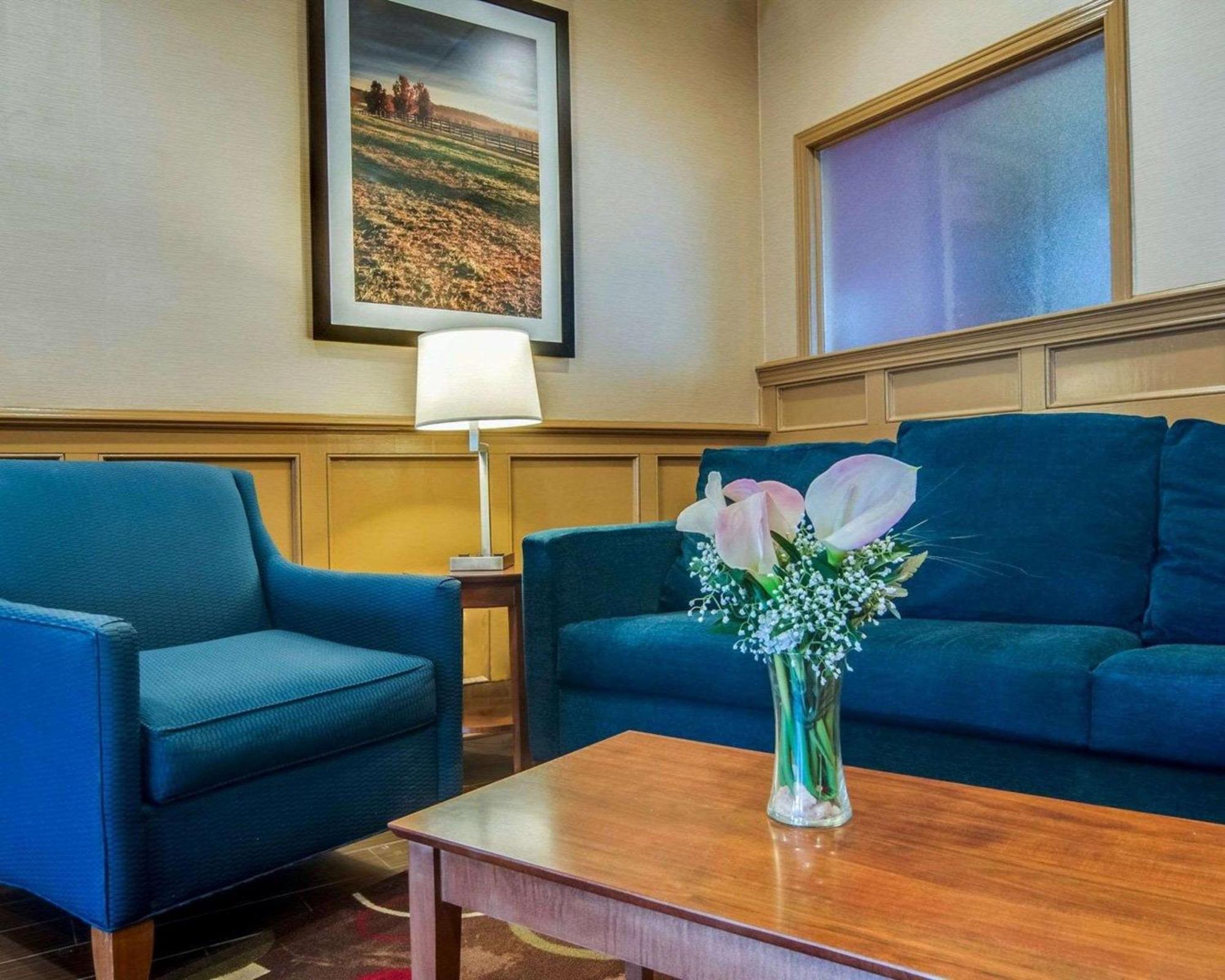 Comfort Inn & Suites Raphine - Lexington Near I-81 And I-64 Екстер'єр фото